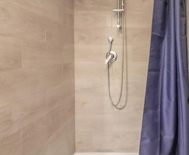 Lion Renting Trastevere 3*